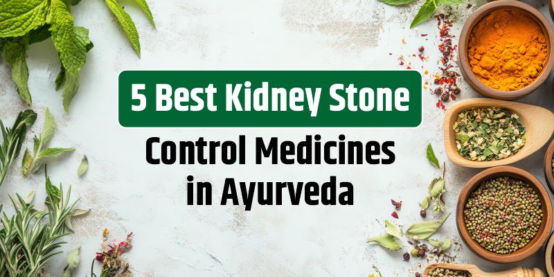 5 Best Kidney Stone Control Medicines in Ayurveda